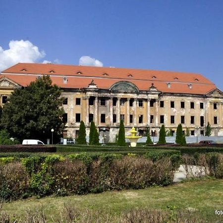 M.S. Piccolo Apartman Żary Kültér fotó